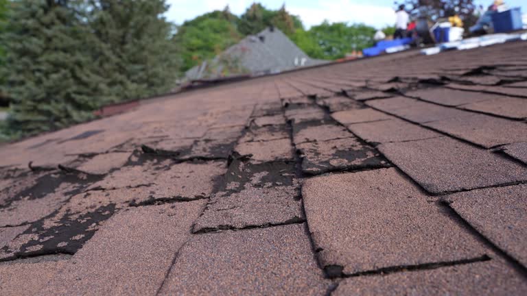 Emergency Roof Repair in Farmington, IL