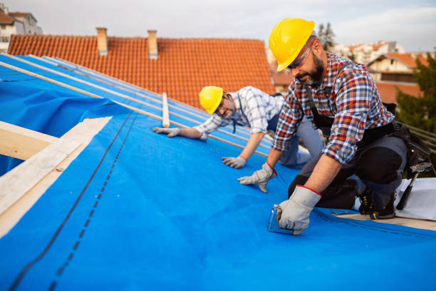 Gutter Replacement in Farmington, IL